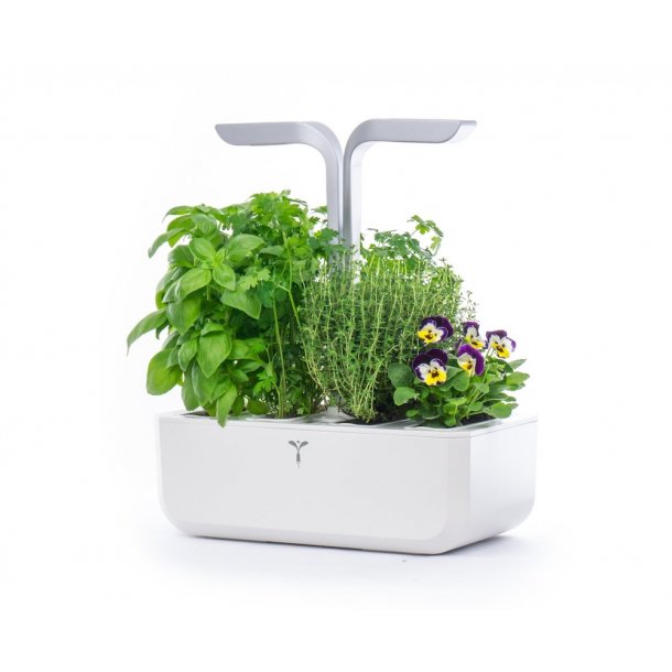 Veritable Indoor Smart Garden : Véritable® Garden - CONNECT EDITION